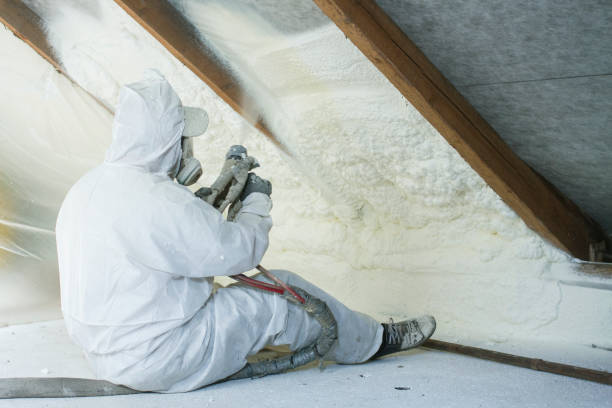 Best Basement Insulation in USA